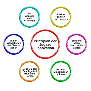 Die 6 Jugaad Prinzipien