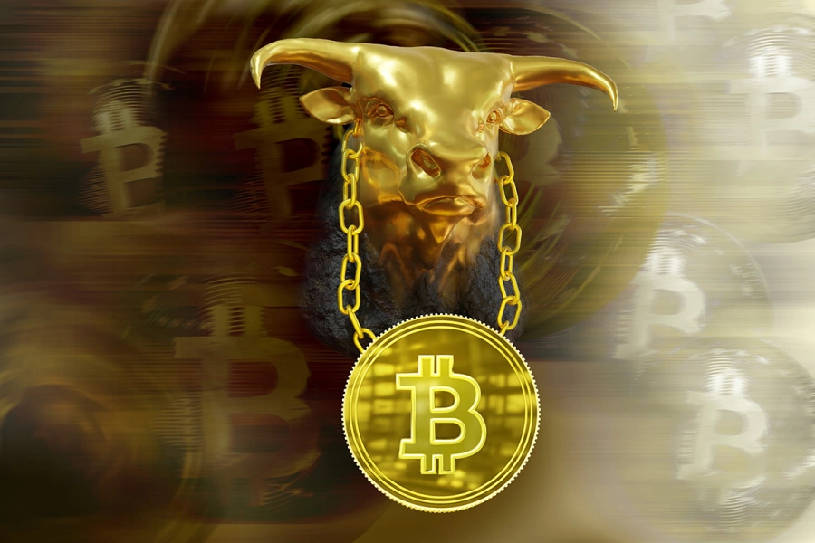 Bitcoin Bullmarket Bitcoin Bullmarket